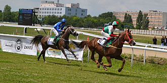 totul despre reuniunea hipica de la hipodrom bossul de la manchester city introduce ploiestiul pe harta curselor internationale de galop