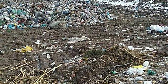 dezastru ecologic la tirgsorul vechi groapa de gunoi ilegala girata de primarie foto