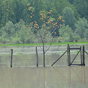 foto comuna rafov grav afectata de inundatii