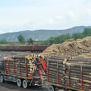 exporturile de busteni cherestea si lemn de foc vor fi suspendate pana la 31 august