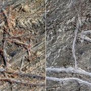 un desen rupestru vechi de 5000 de ani a fost vandalizat distrugerile sunt ireparabile