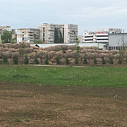 imagini de cosmar in zona parcului municipal vestcum arata proprietatea ciobanului vazuta din parc foto
