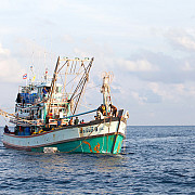 pescador din turcia prins la braconaj in marea neagra la bord s-au gasit peste 230 de kilograme de calcan
