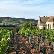 regiunea viticola bourgogne renumita pentru vinurile rosii