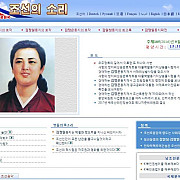 toate site-urile din coreea de nord au cazut