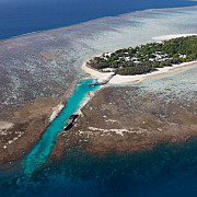 marea bariera de corali a fost declarata moarta de oamenii de stiinta