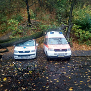 un copac a cazut peste doua ambulante la brasov nu exista victime