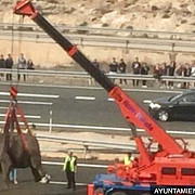 elefanti pe o autostrada in murcia in urma unui accident rutier in sud-estul spaniei