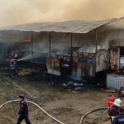 video foto incendiu la o ferma de animale din mizil sute de oi si porci au ars