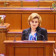 ministrul mediului solicita parlamentului romaniei reexaminarea codului silvic in regim de urgenta