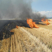 avertizare mae - risc crescut de incendii de vegetatie in grecia