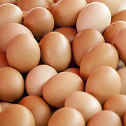 adevarul despre ouale pe care romanii le cumpara tu stii ce mananci de fapt