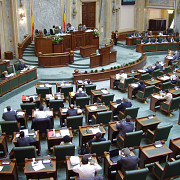 proiectul legislativ privind majorarea amenzilor pentru incalcarea ordinii si linistii publice adoptat de senat