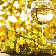 sectorul vitivinicol din romania a atras peste 500 de milioane de euro in ultimii 10-12 ani