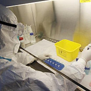 china avertizeaza ca a aparut un nou virus de gripa cu potential letal
