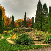 cea mai veche gradina botanica din romania