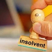 proiectul codului insolventei va fi trimis in parlament