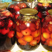 rusia interzice importurile de conserve de fructe si legume din republica moldova