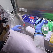 oms sute de mii de doze de vaccinuri impotriva ebola pot fi produse in prima parte a anului viitor