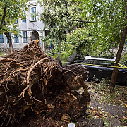 furtuna puternica in vestul si nordul tarii 8 morti si 67 raniti dupa ce o vijelie a doborat copaci acoperisuri panouri publicitare