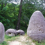 pietrele vii din romania care cresc si se misca cum e posibil