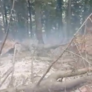 video incendiu de vegetatie in zona piatra arsa intre sinaia si busteni