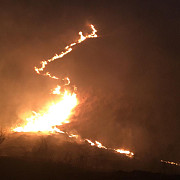 50 de hectare de vegetatie au ars la boldesti scaieni