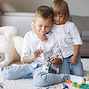 tendinte actuale in alegerea jucariilor accesibile pentru familii