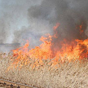 pericol la inotesti incendiu de vegetatie in apropierea unui tren incarcat cu benzina