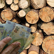 guvernul a adoptat o oug privind plafonarea preturilor la lemnele de foc  tanczos barna este nevoie de un asemenea demers in sustinerea cetatenilor care pentru sezonul de iarna folosesc lemnul ca resursa in gospodarie