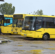 reluarea circulatiei autobuzelor pe strada elena doamna