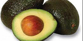 aproape totul despre avocado