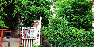 jungla din mijlocul ploiestiului baza sportiva cedata de mts federatiei de judo in paragina