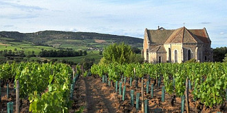 regiunea viticola bourgogne renumita pentru vinurile rosii