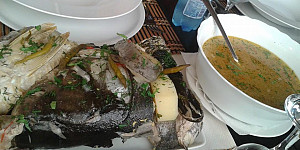 bors de peste ca-n delta dunarii