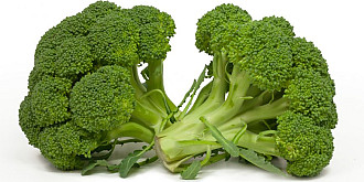cancerul la san poate fi prevenit cu broccoli