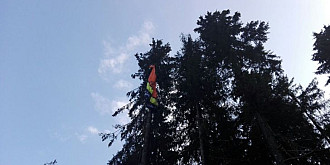doi parapantisti au ramas agatati intr-un copac in busteni foto