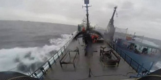 un pescador japonez s-a ciocnit violent cu un vas ecologist video