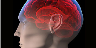 ibm a creat un cip a carui functionare seamana cu activitatea creierului uman