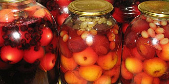 rusia interzice importurile de conserve de fructe si legume din republica moldova