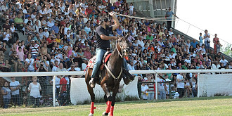 hipodromul ploiesti armasarul navalnic s-a impus in premiul cailor de 4 ani