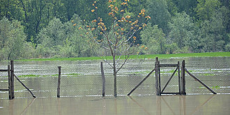foto comuna rafov grav afectata de inundatii
