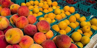interzise de rusia fructele moldovenesti ar putea fi vandute in europa