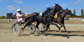 hipodromul ploiesti speedy nobel a castigat derby-ul de trap al romaniei