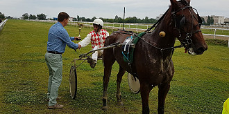 hipodromul ploiesti iapa detoxicated s-a impus in premiul de vara
