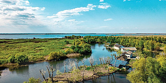 autoritatile din tulcea solicita ministerului mediului sa permita vanarea sacalilor din delta dunarii