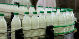 ansva incepe verificarile produsele lactate distribuite prin programul laptele si cornul sunt vizate