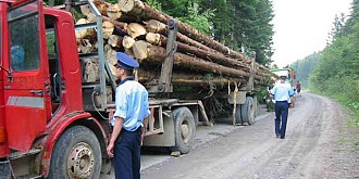 proprietarii de paduri cu suprafata de pana in 30 de hectare vor beneficia de paza gratuita a suprafetelor forestiere