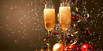 sfaturi pentru ca animelele sa nu se sperie de petarde de revelion