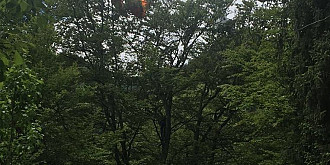 turist francez ramas agatat cu parapanta in copaci in apropiere de sinaia